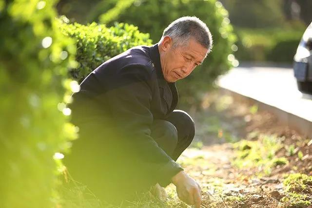 荊師傅正在細心照顧花草。