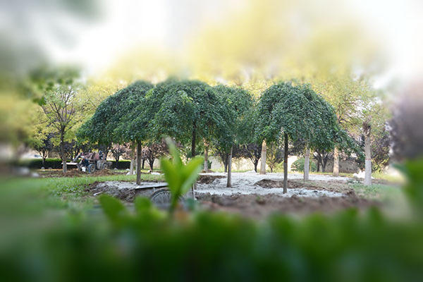 小公園破土動(dòng)工