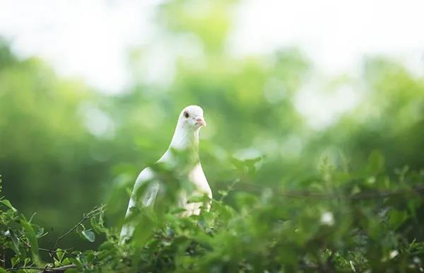 帶著正能量的姿態(tài)，我在這里改變著自己