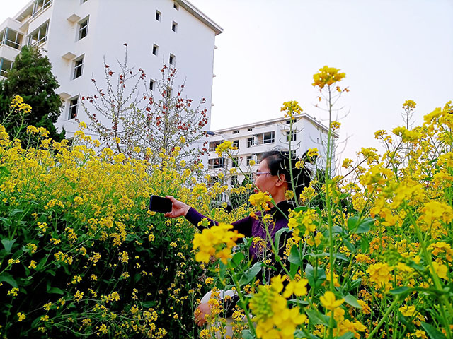 1696318746955391.jpg 梁曉芳 《花間麗人》.jpg
